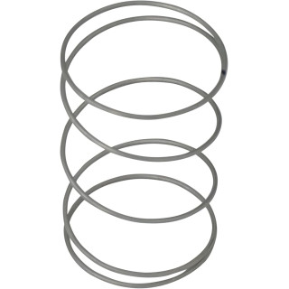 WASHER CLUTCH SPRING WH01X24434