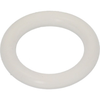SPM 04.BA0026.TPS TAP O-RING