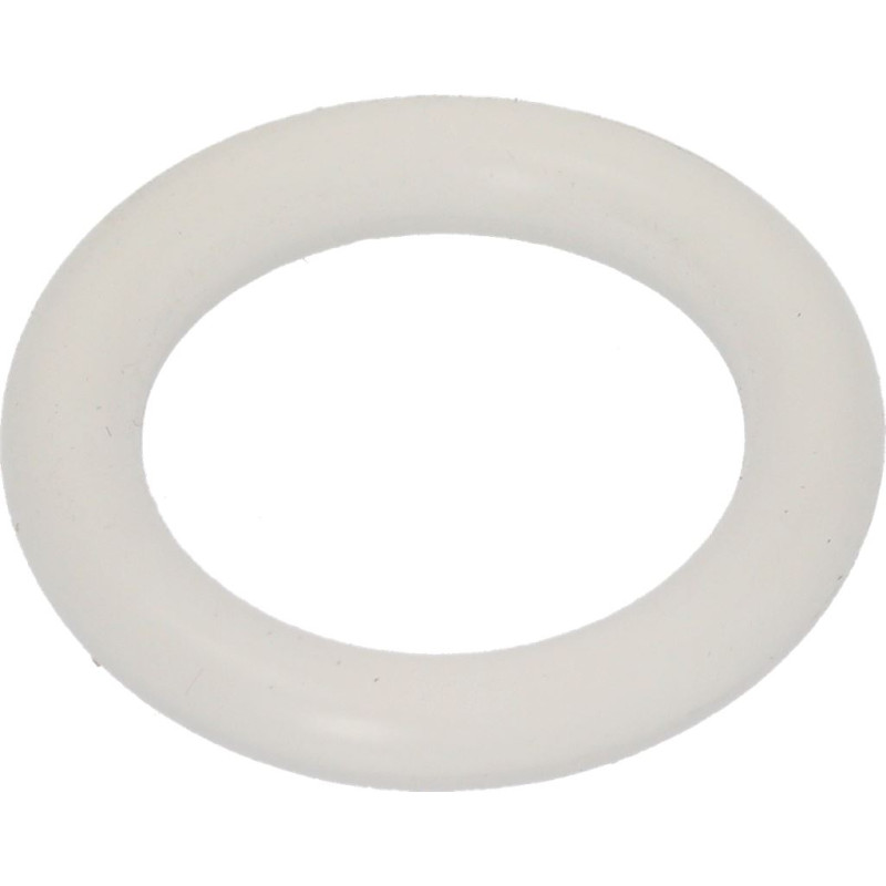 SPM 04.BA0026.TPS TAP O-RING