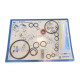 CARPIGIANI IC193-013778 SEAL KIT