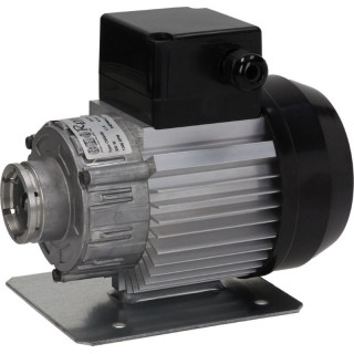 MOTOR FOR VOLUMETRIC PUMP 220-230V 50/60HZ 300W