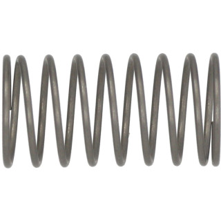 996530011626 Saeco (126764718) Ss Water Container Valve Spring