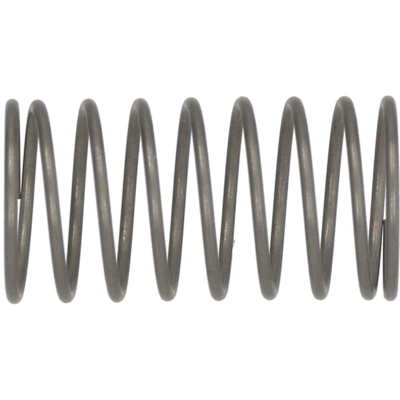 996530011626 Saeco (126764718) Ss Water Container Valve Spring