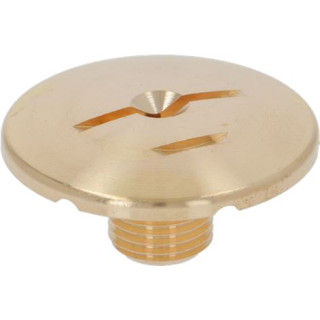 BREW GROUP SPRAY NOZZLE ø 30 mm M10x1