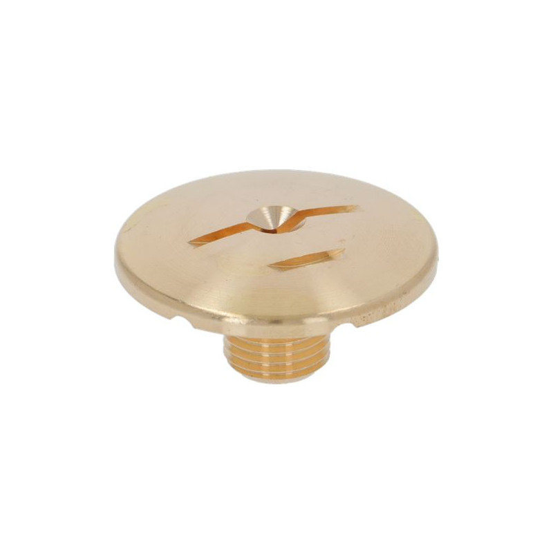 BREW GROUP SPRAY NOZZLE ø 30 mm M10x1