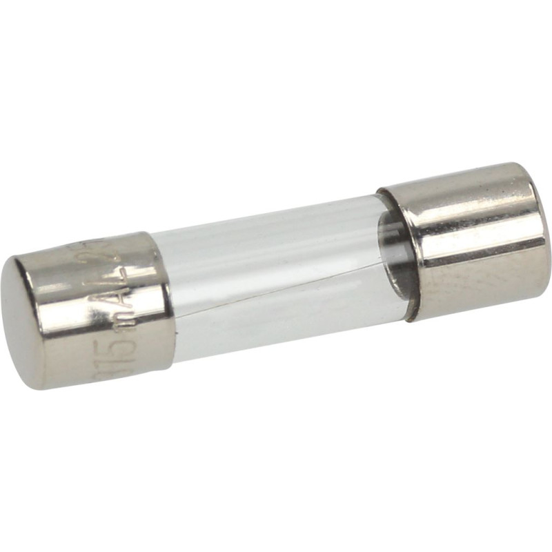 QUICK ACTING FUSE 315mA ø 5x20 mm - 10 PCS