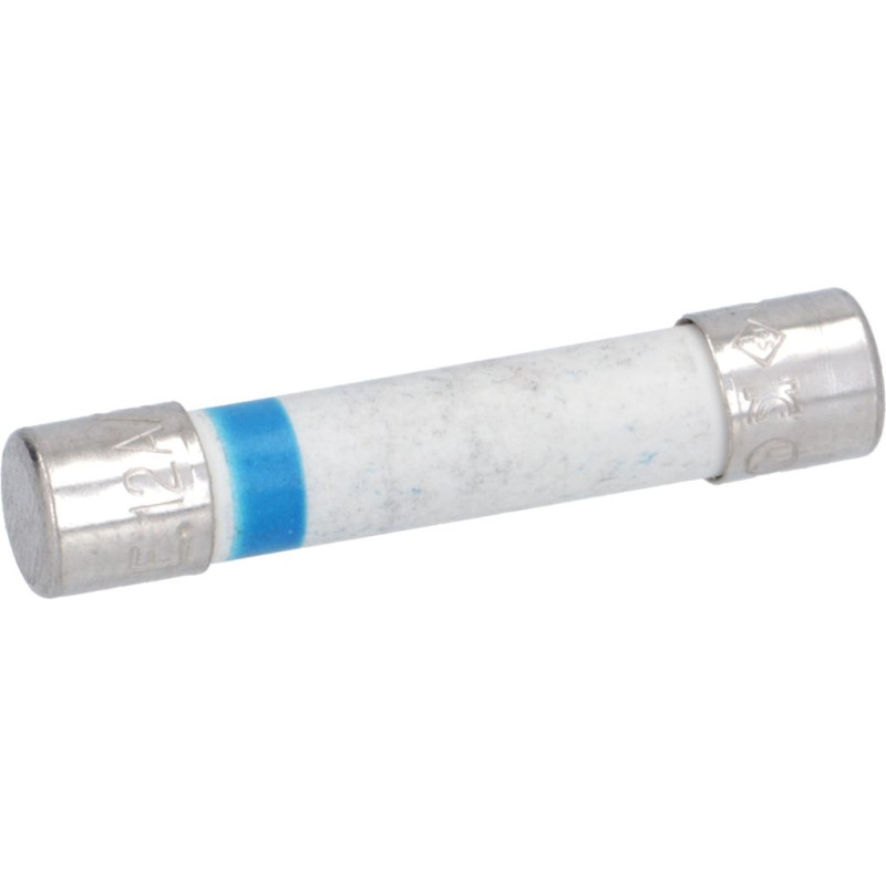 LAINOX LA19200580 FUSE 250V 12A