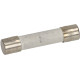 DELAY FUSE 15A  250V