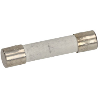 DELAY FUSE 15A  250V