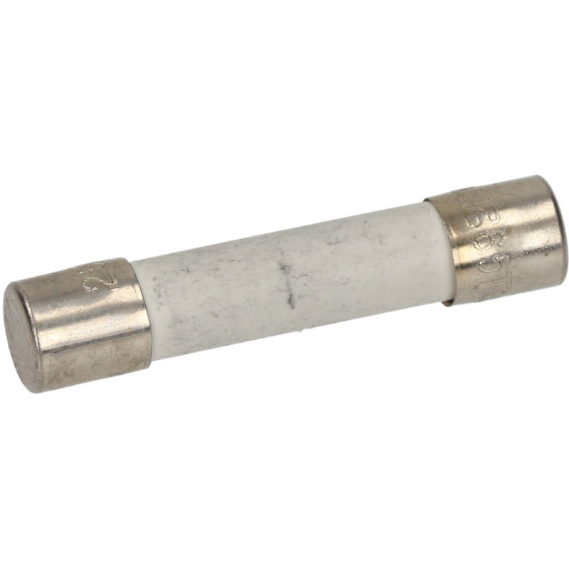 DELAY FUSE 15A  250V