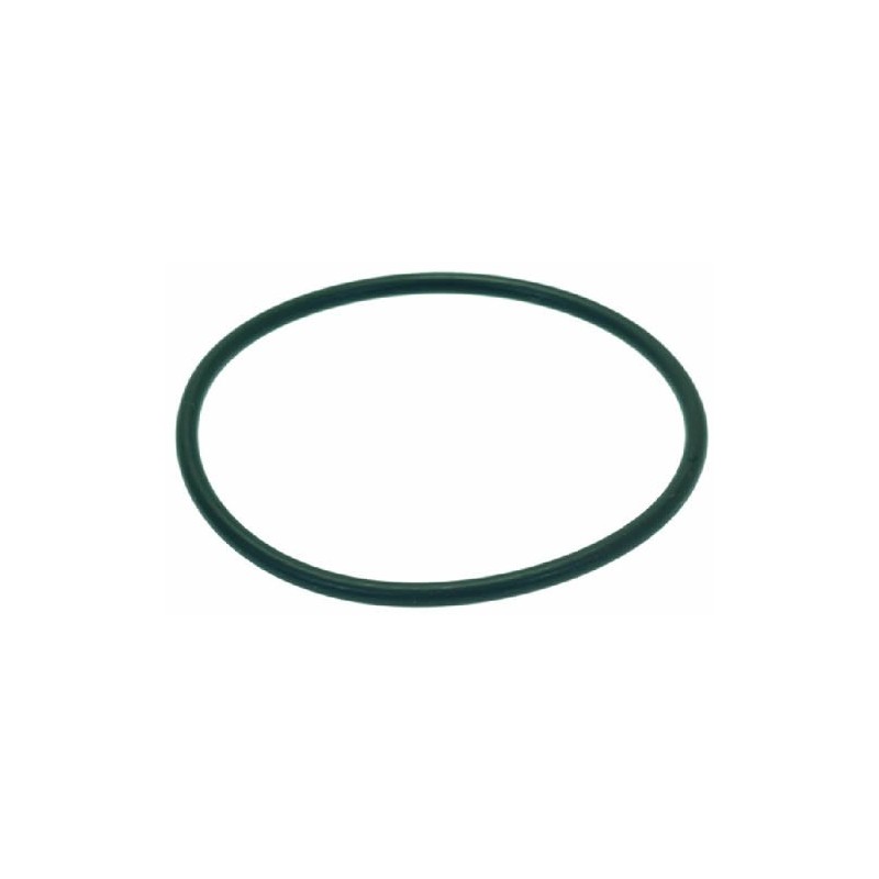 O-RING 0171 EPDM