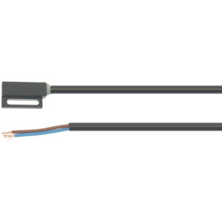 MAGNETIC MICROSWITCH