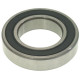 BEARING 6007 DDU NSK