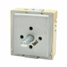 EGO INFINITE SWITCH 208V 13A