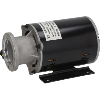 MOTOR PUMP FOR CASADIO, CIMBALI 220-230V 50/60HZ