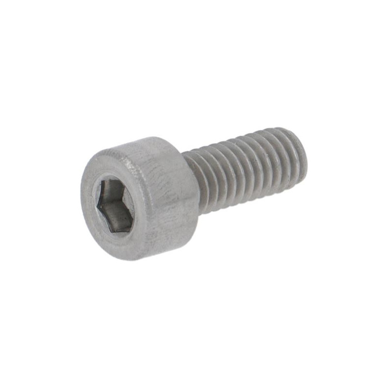 PAVONI CYLINDER HEAD SCREW M4x10