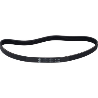 ELECTROLUX PROFESSIONAL 033106 BELT POLY V
