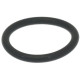 VITON O-RING R21
