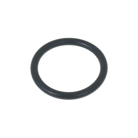 PAVONI BOILER CAP O - RING
