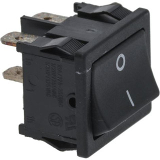 BLACK BIPOLAR SWITCH 10A 250V