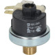 PRESSURE SWITCH XP110 125 0.5-1.2 BAR 1/4"