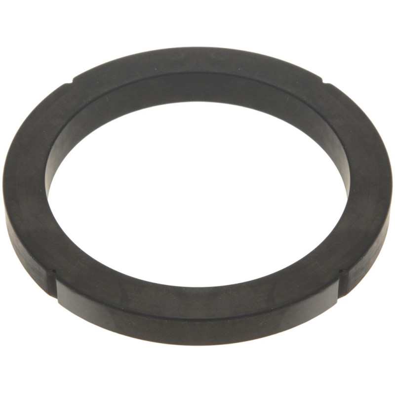 FILTER HOLDER GASKET  FOR 36301030 RANCILIO