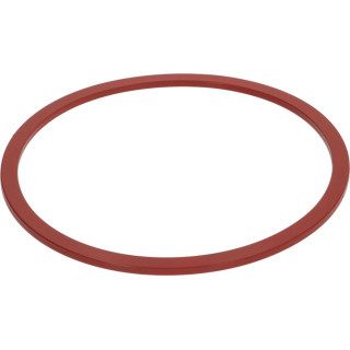 CARPIGIANI IC15820100 DOOR GASKET