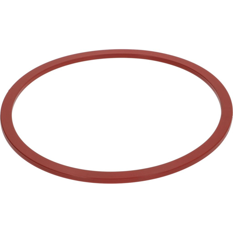 CARPIGIANI IC15820100 DOOR GASKET