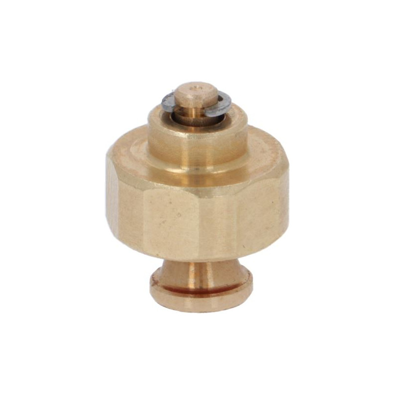 VACUUM VALVE FOR BOILER