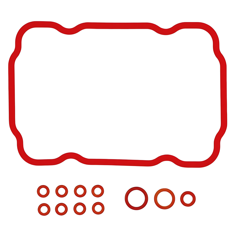 SAECO REPAIR GASKET KIT FOR VIENNA