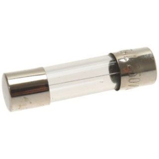 QUICK ACTING FUSE ø 5x20 mm 250V 1A 10 PCS