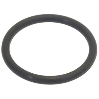 O-RING 04131 FKM