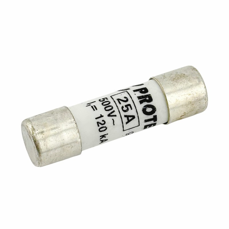 QUICK ACTING FUSE 25AMP
