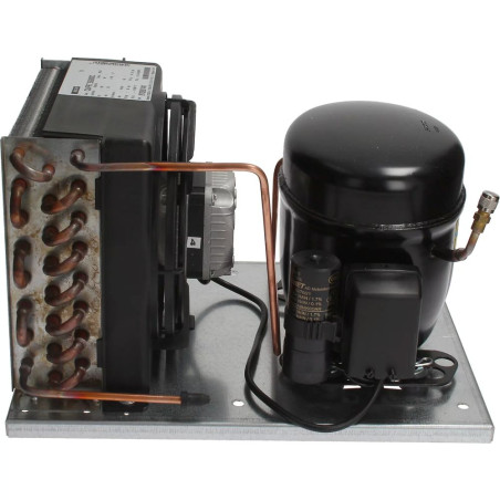 CONDENSING UNIT FR7.5G 220V 50/60HZ R134A