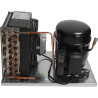 CONDENSING UNIT FR7.5G 220V 50/60HZ R134A