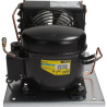 CONDENSING UNIT FR7.5G 220V 50/60HZ R134A