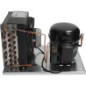 CONDENSING UNIT SC21G 220V 50/60HZ R134A