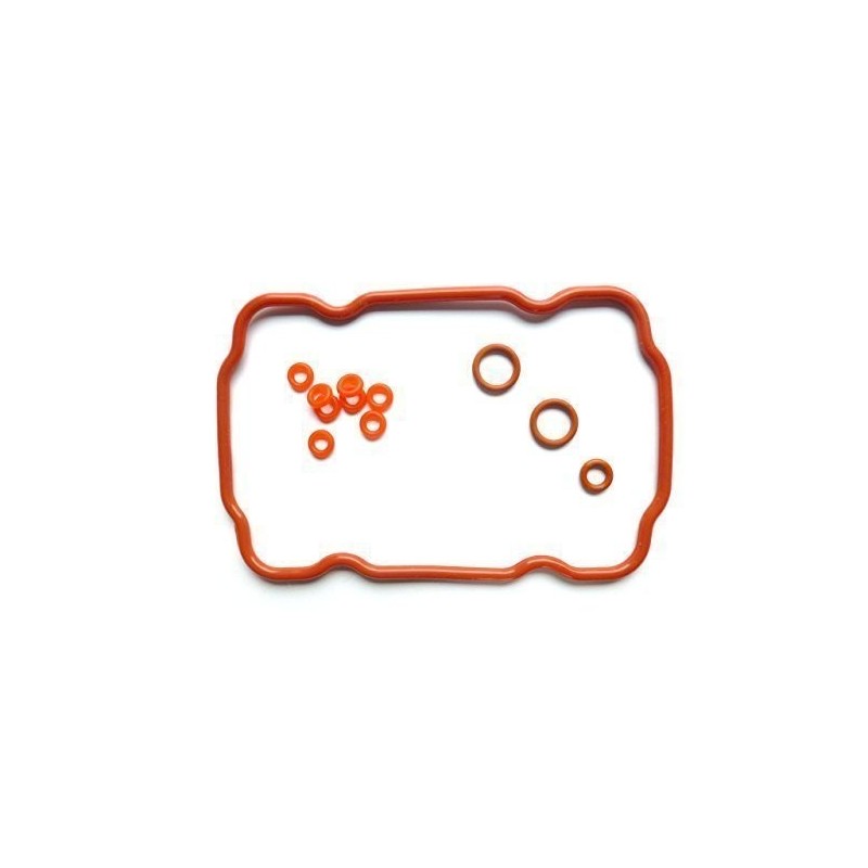 SAECO REPAIR KIT FOR VIENNA