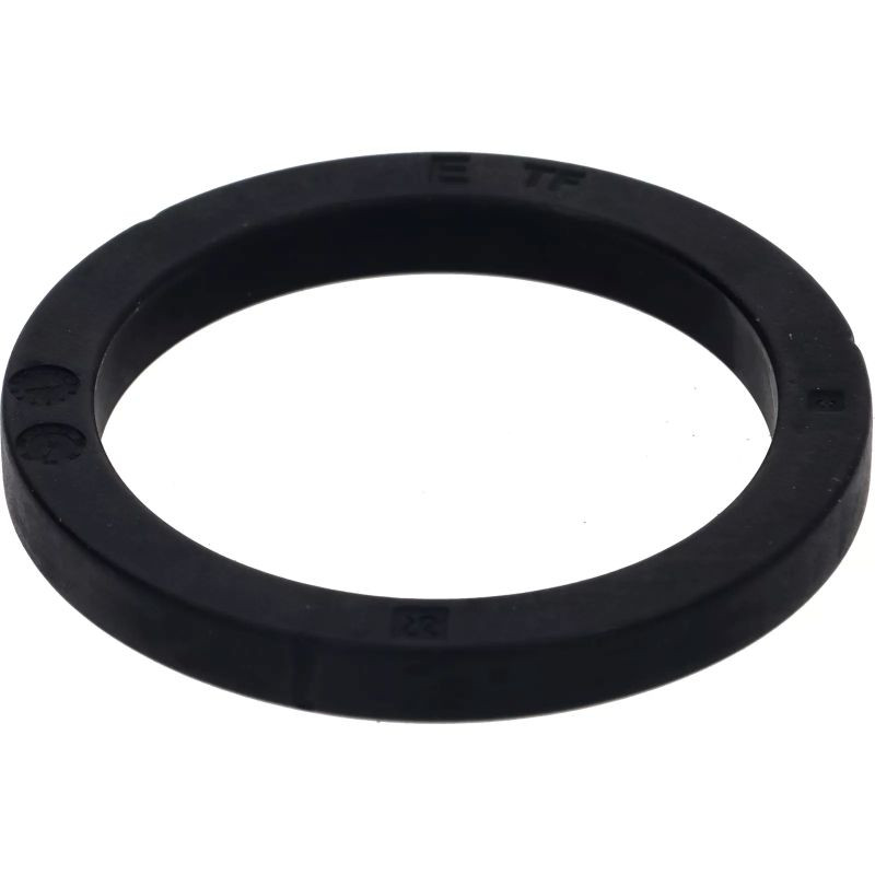 RANCILIO 36301051 FILTER HOLDER GASKET