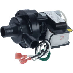 ITV 31982 WATER PUMP MIP 115V/60 HZ