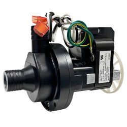 ITV 31982 WATER PUMP MIP 115V/60 HZ