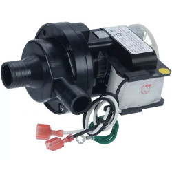 ITV 31982 WATER PUMP MIP 115V/60 HZ