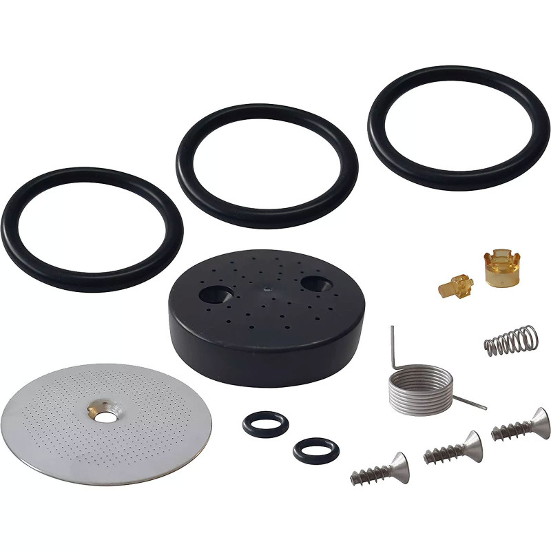 INFUSER KIT FOR DELONGHI 7313251451