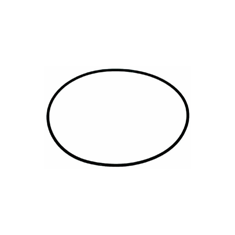 CASADIO O-RING 02300 EPDM