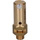 BOILER VALVE 1/4"M - 2.0 bar CE/PED