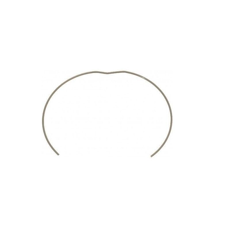 ELEKTRA MICROCASA PORTAFILTER SPRING