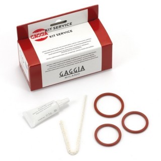 GAGGIA SAECO  BREW GROUP MAINTENANCE KIT