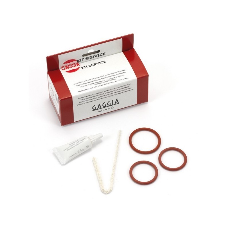 GAGGIA SAECO  BREW GROUP MAINTENANCE KIT