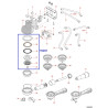 NUOVA SIMONELLI APPIA 6 PIECE GROUP REPAIR KIT
