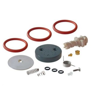 DELONGHI 5513235511 INFUSER KIT